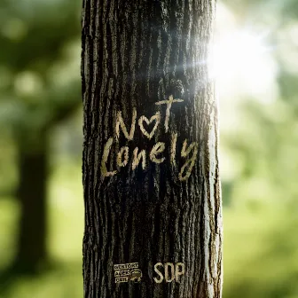 Not Lonely by Gestört aber GeiL