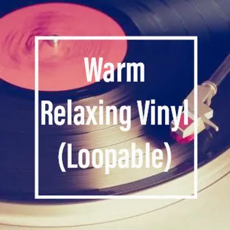 Warm Relaxing Vinyl To Sleep To (Loopable) by The Deepest Sleeper