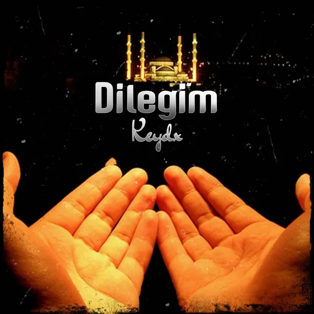 Dilegim