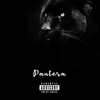 Pantera by Kamblade