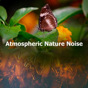 Atmospheric Nature Noise by Nature Vibrations