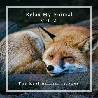 Relax My Animal (Vol. 2) by Unknown Artist