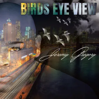 Birds Eye View by Jeremy Gregory