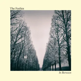 In Between by The Feelies