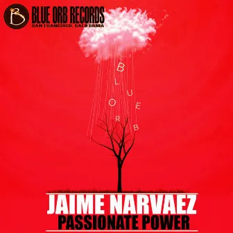 Passionate Power by Jaime Narvaez