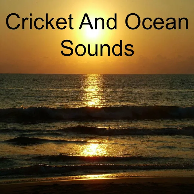 Cricket And Ocean Sounds