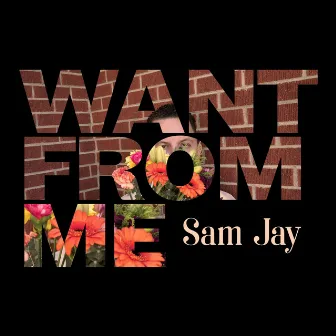 Want from Me by Sam Jay