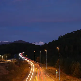 Life in the Fast Lane by Manuela Hofer