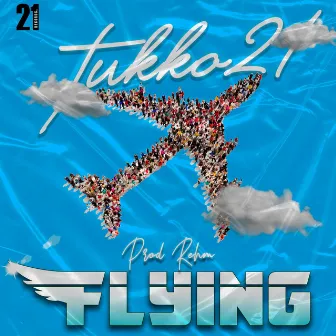 Flying by Tukko21