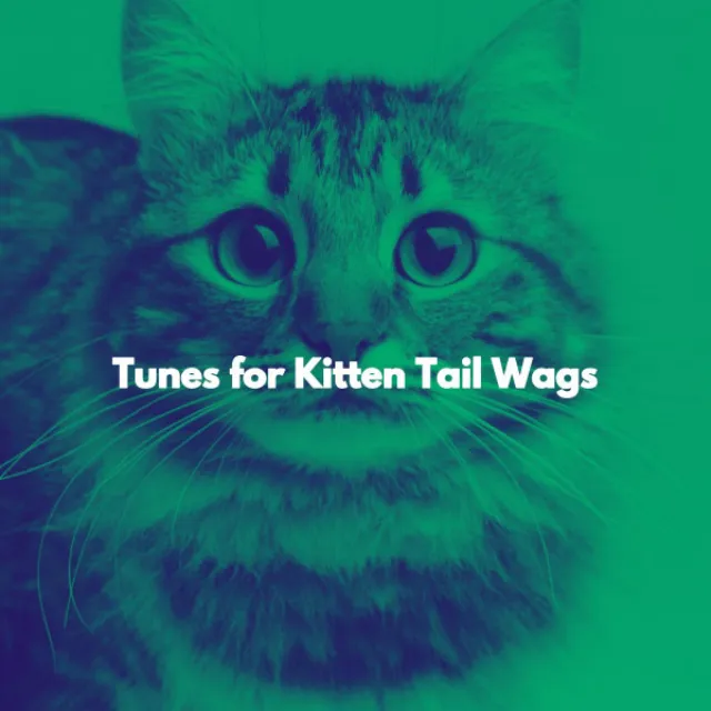 Tunes for Kitten Tail Wags