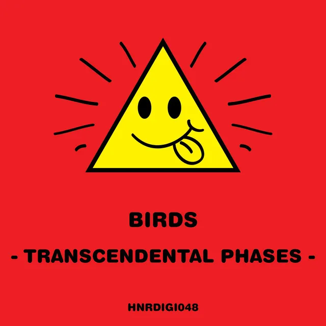 Transcendental Phases