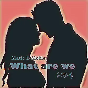 What Are We by Matic B Mobley