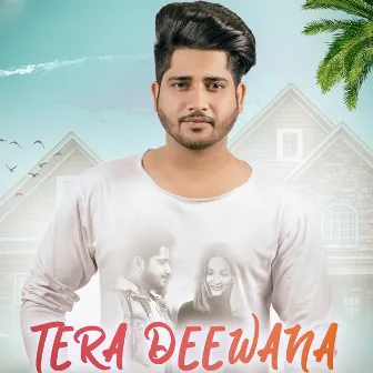 Tera Deewana by Parv