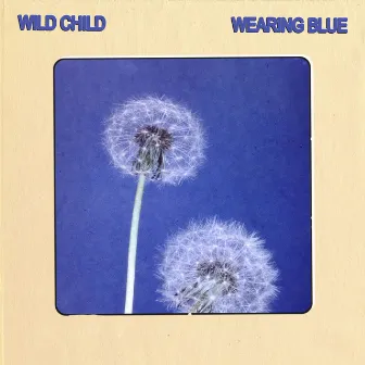 Wearing Blue by Wild Child