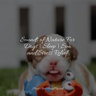 Complete Sleep and Complete Chill Ambience For Dogs by Pet Care Music Therapy