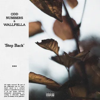 Step Back by Odd Numbers