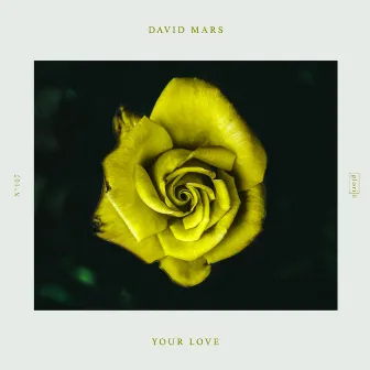 Your Love by David Mars