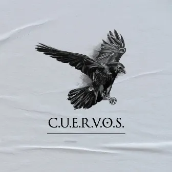 Cuervos by Santiago Malamadre