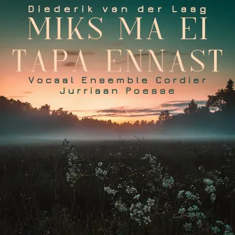 Miks Ma Ei Tapa Ennast by Diederik van der Laag