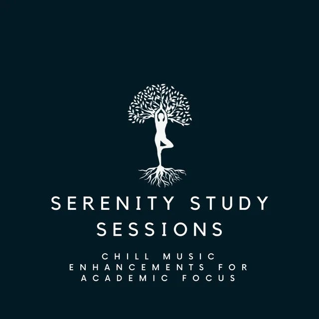 Serenity Study Sessions: Chill Music Enhancements for Academic Focus