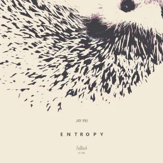 Entropy by Jay Pei