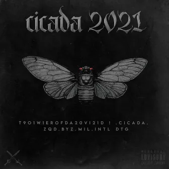 Cicada 2021 by DAVEYTHEGREAT