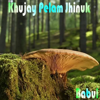 Khujay Pelam Jhinuk by Babul