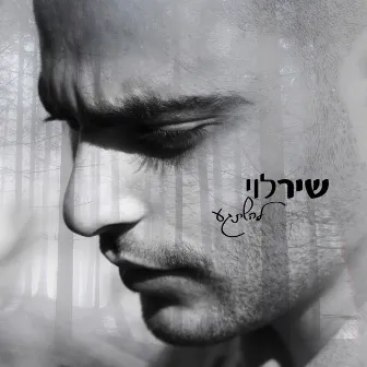 להשתגע by Shir Levi