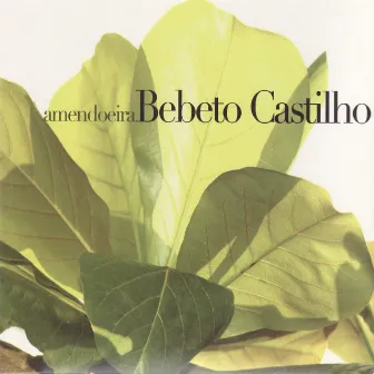 Amendoeira by Bebeto Castilho