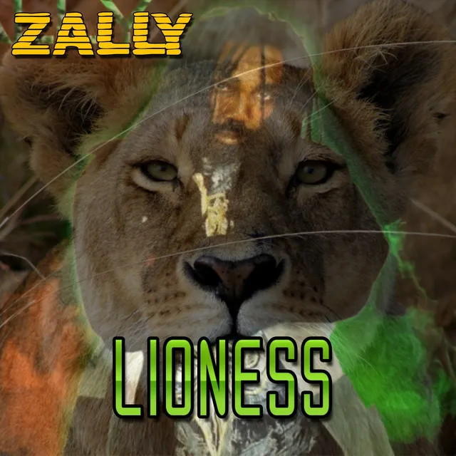 Lioness