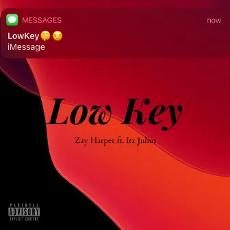 Low Key by Zay Harper