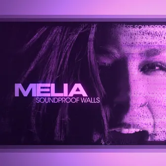 Soundproof Walls by Melia