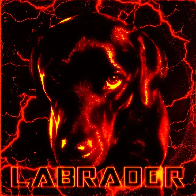 LABRADOR - Instrumental Version