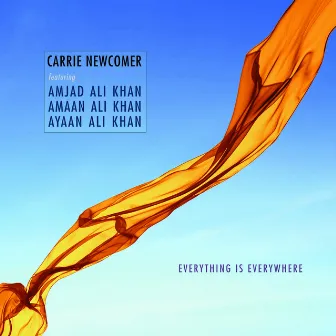 Everything Is Everywhere by Carrie Newcomer