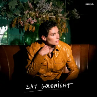 Say Goodnight by Freja Kirk