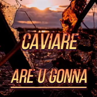 Are U Gonna by Caviare