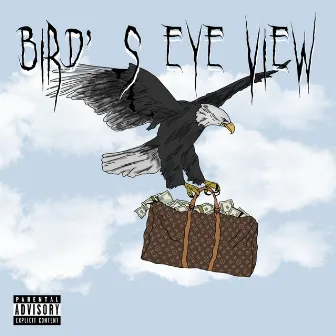 Birds Eye View by Nickie B