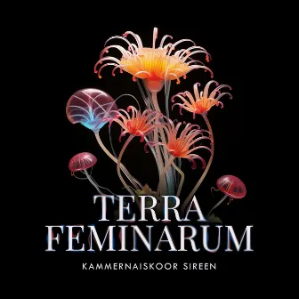 Terra Feminarum by Chamber Choir Sireen