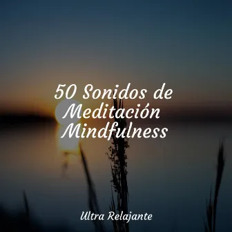 50 Sonidos de Meditación Mindfulness by Canciones De Cuna Para Dormir Bebes