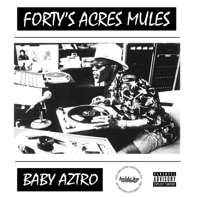 Forty's Acres Mules