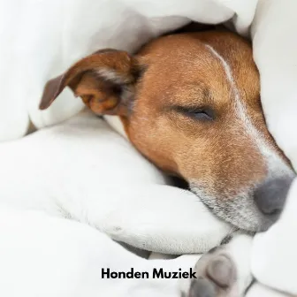 Honden Muziek by Honden Muziek Universum