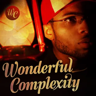 Wonderful Complexity - Single by Omri