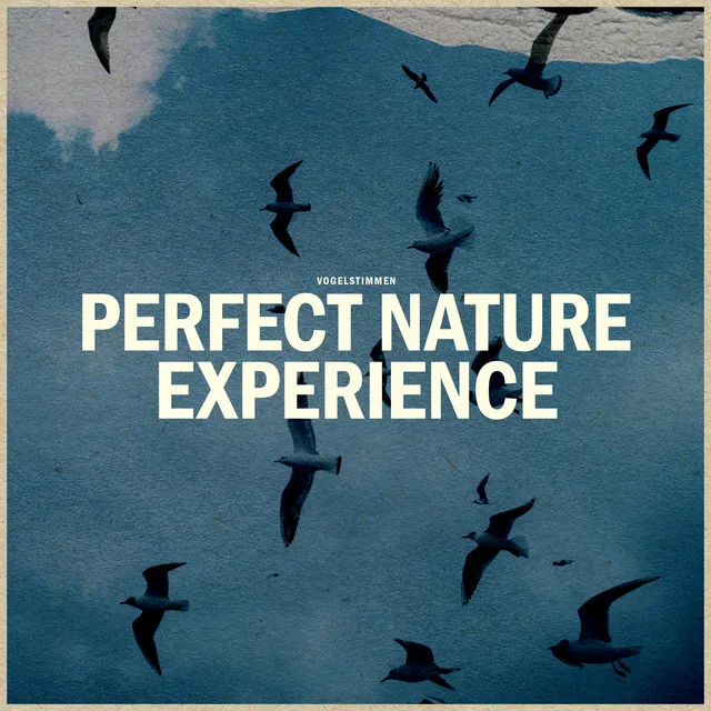 Perfect Nature Experience