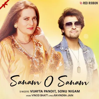 Sanam O Sanam by Vijayta Pandit