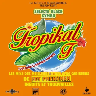 Tropikal F : Tout Bitin Si Kontrol by Fdy Phenomen