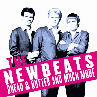 The Newbeats Sing Hits - Volume 1 & Volume 2 by The Newbeats