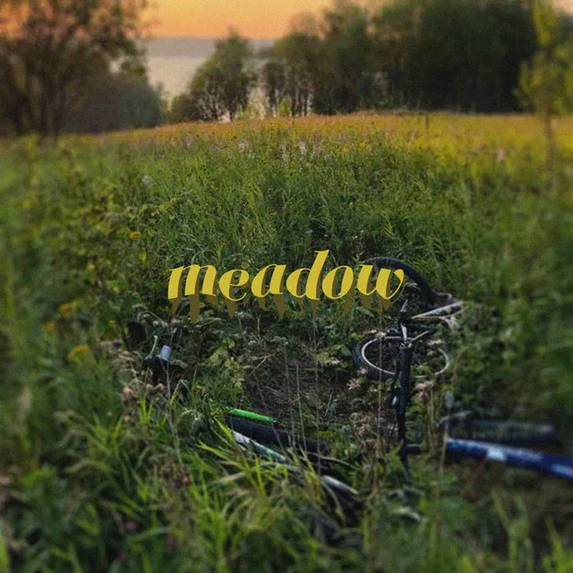 Meadow