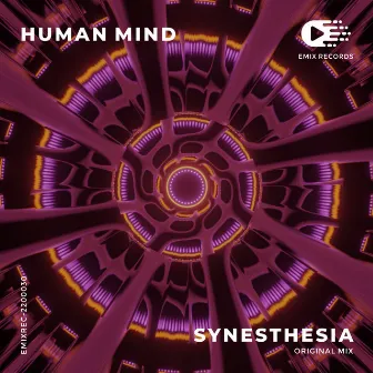 Synesthesia by Human Mind