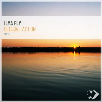 Decisive Action by Ilya Fly