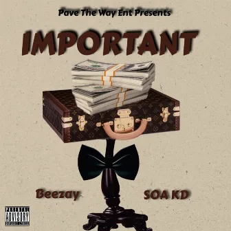 Important by Beezay